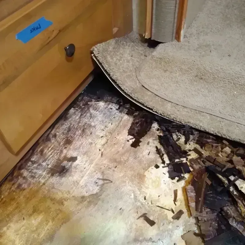 Wood Floor Water Damage in Vail, CO